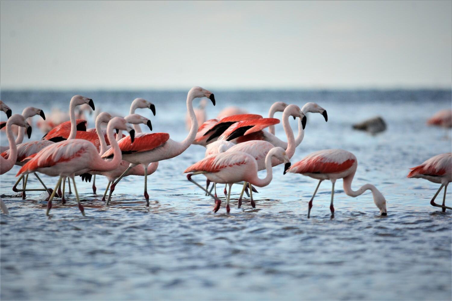 Appartamento Casa Natura Sunset Gran Alacant